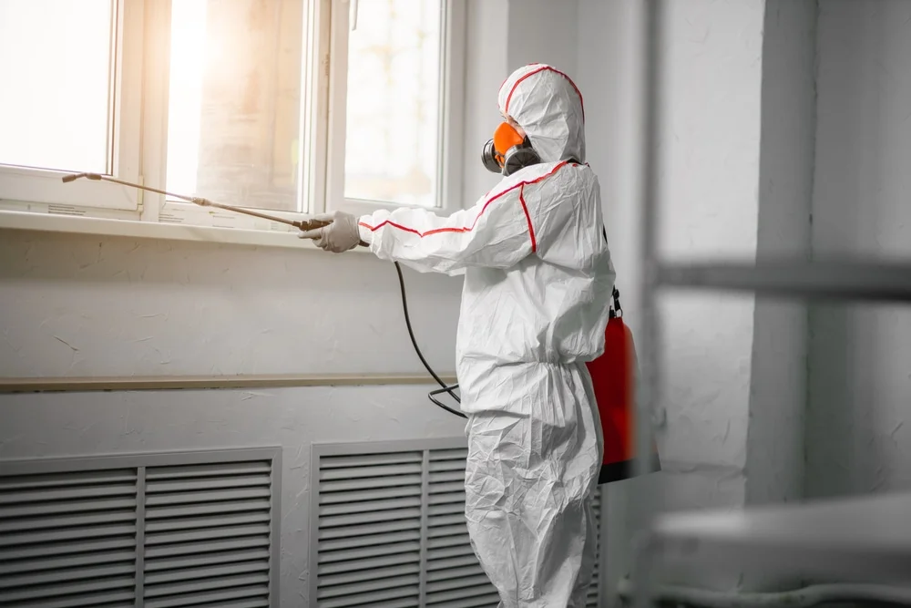 Professional mold remediation services in Mary Esther, FL